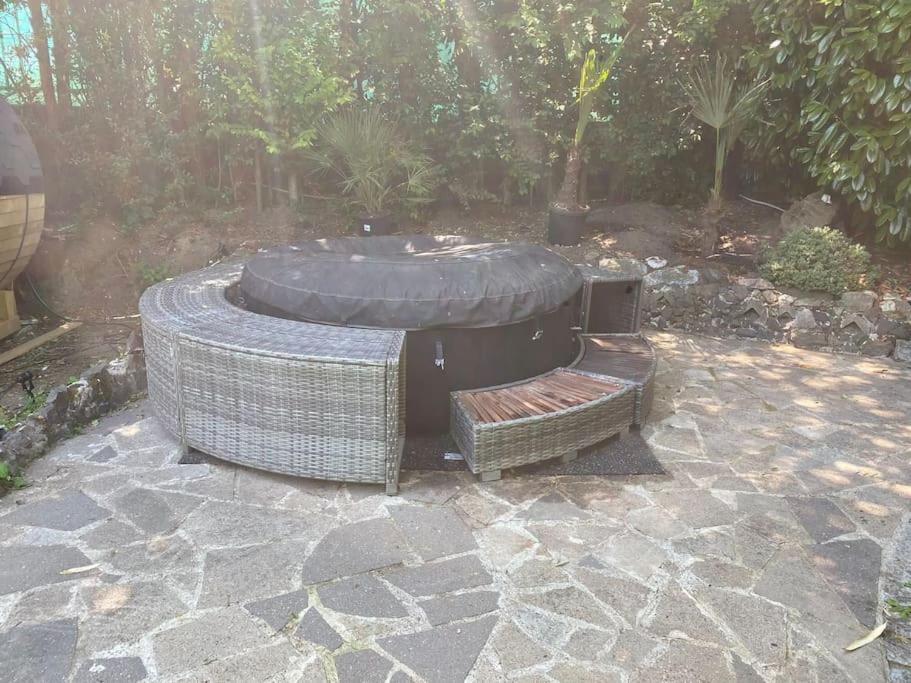 Ferien-Villa Direkt Am Rhein Sauna/Whirlpool Gotterswickerhamm Экстерьер фото
